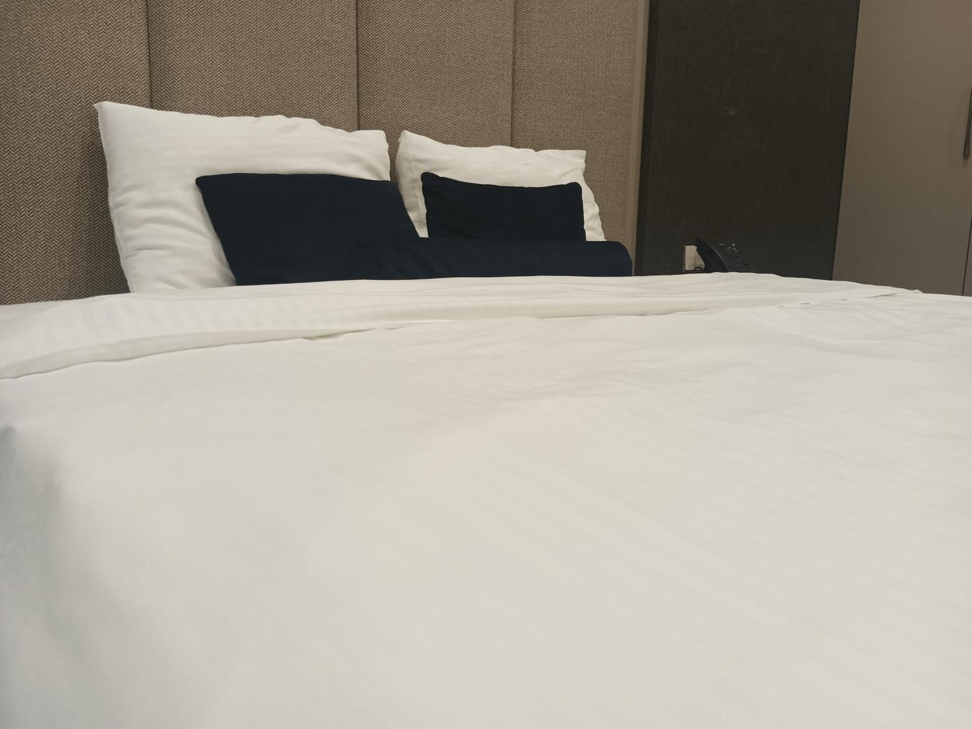 Darin Plaza Hotel アルビール エクステリア 写真